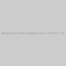 Image of Monoclonal EZH2 Antibody, Clone: 144CT2.1.1.5